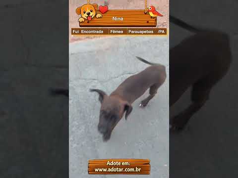 Vídeo de Nina 