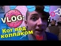 VLOG: КОТ ПОД КОЛПАКОМ / Андрей Мартыненко 