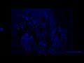GO Exercise With The Teletubbies Goodbye Scene 2 All In Blue