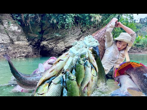 Traditional fishing skills - Single mother catches giant fish using bamboo trap