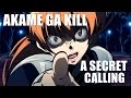 Akame Ga Kill AMV A Secret Calling   - Shinobi AMV ...
