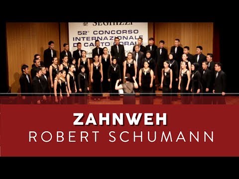 Zahnweh (Robert Schumann) - PSM Brawijaya