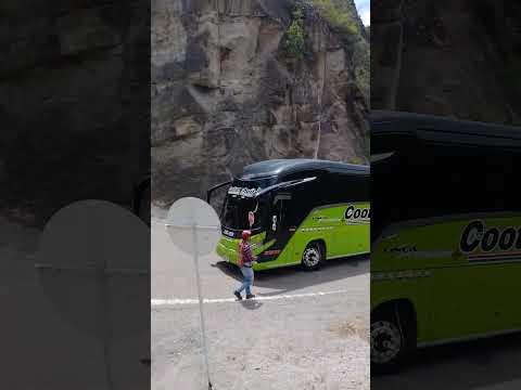 pericongo lindo. timana Huila.