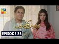 Tera Yahan Koi Nahin Episode 36 HUM TV Drama 22 June 2020