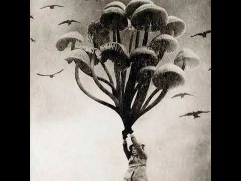 PAGKAWALA - YOUNG WISE 1096 GANG