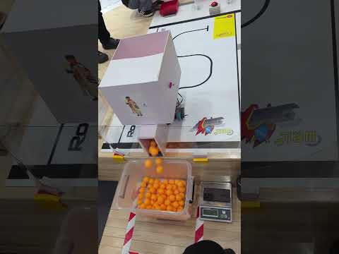 대회 영상 1