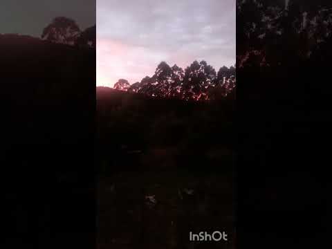 #Short A Magia de um Amanhecer Congelante no Rio Grande do Sul! ❄️✨ #Short