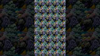 Stereogram Clam! #stereogram #hidden #whatisit #challenge #clam #pearl