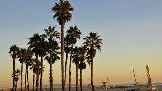 Brad Mehldau Trio - Great Day (Paul Mccartney)