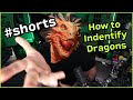 How To Identify Dragons