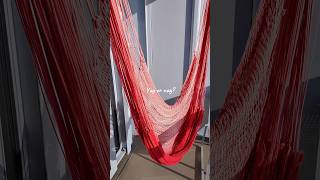 Scarlet Lady Sea Terrace Cabin Reveal | Would you book this cabin?