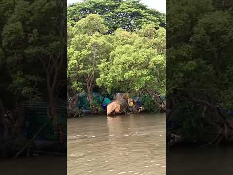 Calmness surrounding d beaches.Perhaps nothing is better than chilling at sea beaches #goabeachfun