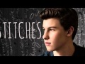Shawn Mendes - Stitches (Instrumental Karaoke ...