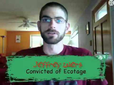 We are the Insurgents