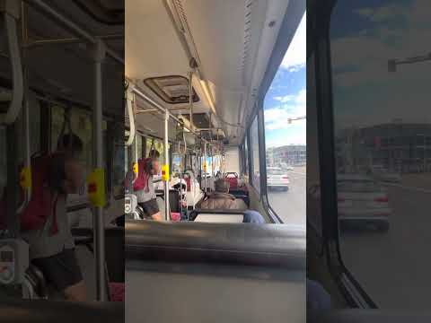 Volvo B12BLE Euro 5 (ZF Ecomat) Sydney Buses