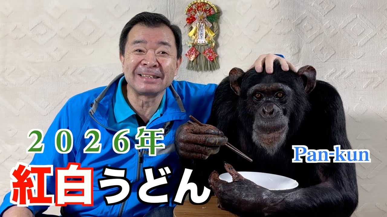 パンくん２０２６年お正月🎍【後編】香川県発祥紅白うどんに大喜び㊗️天才！チンパンジー.  モンキーふーちゃん🐒お風呂でととのう♨️ #パンくん #紅白うどん