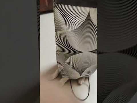 chiru is doing moon walk #ridafirdose #cat #catlover #catvideo #chiru #funny