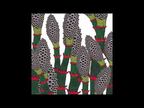Part Chimp // Namekuji (Official Audio)