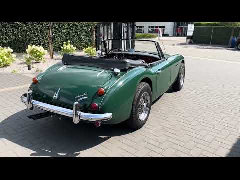 Thumbnail for 1967 Austin-Healey 3000 MK3 - Walkaround