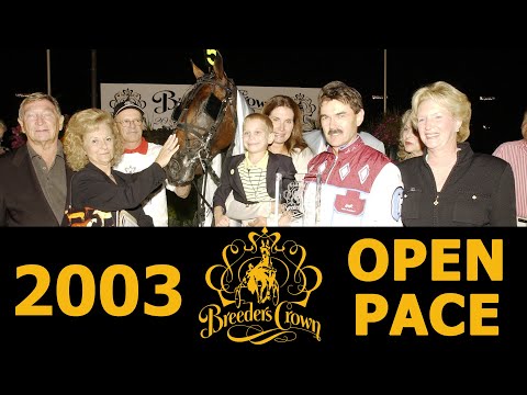 2003 Breeders Crown - Art Major - Open Pace