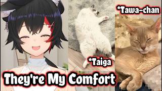 Mio Shares Some Heartwarming Stories About Her Cats