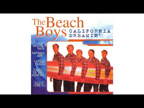 The Beach Boys - The Little Girl I Once Knew (45 version) (1965)