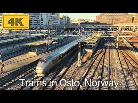 Trains in Oslo, Norway | Ride from Gardermoen airport to Oslo S | October 2021