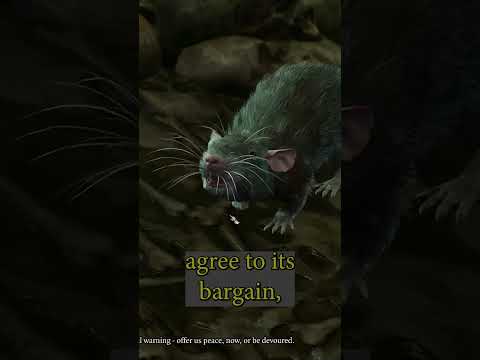 The rats quest in the Temple of Shar #baldursgate3 #bg3 #baldursgate3guide #baldursgate