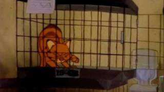 Garfield and His 9 Lives - Life No. 7