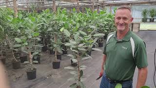 May 2022 Audrey Special