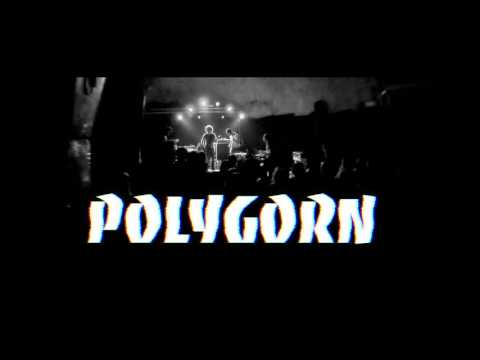 POLYGORN + DRAME + RUBIN STEINER (Magneto, Bayonne)