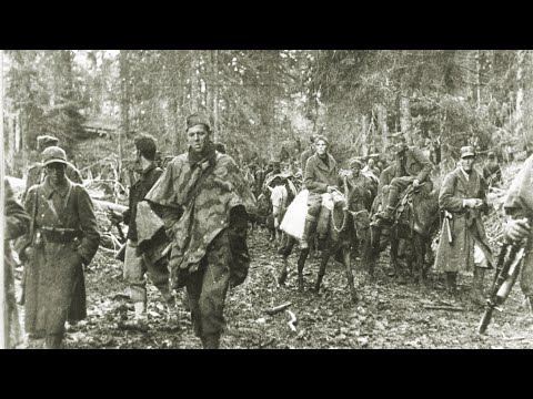 Povijest Četvrtkom-Bitka na Sutjesci