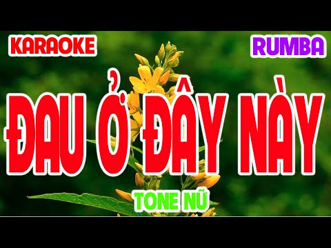 Karaoke Đau Ở Đây Này Rumba Tone Nữ ( NAL )