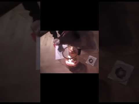 drabusheyka x schafter - KIEDYZZ TO BYLO 🌀 SNIPPET 08.02.2025 #schafer #drabusheyka