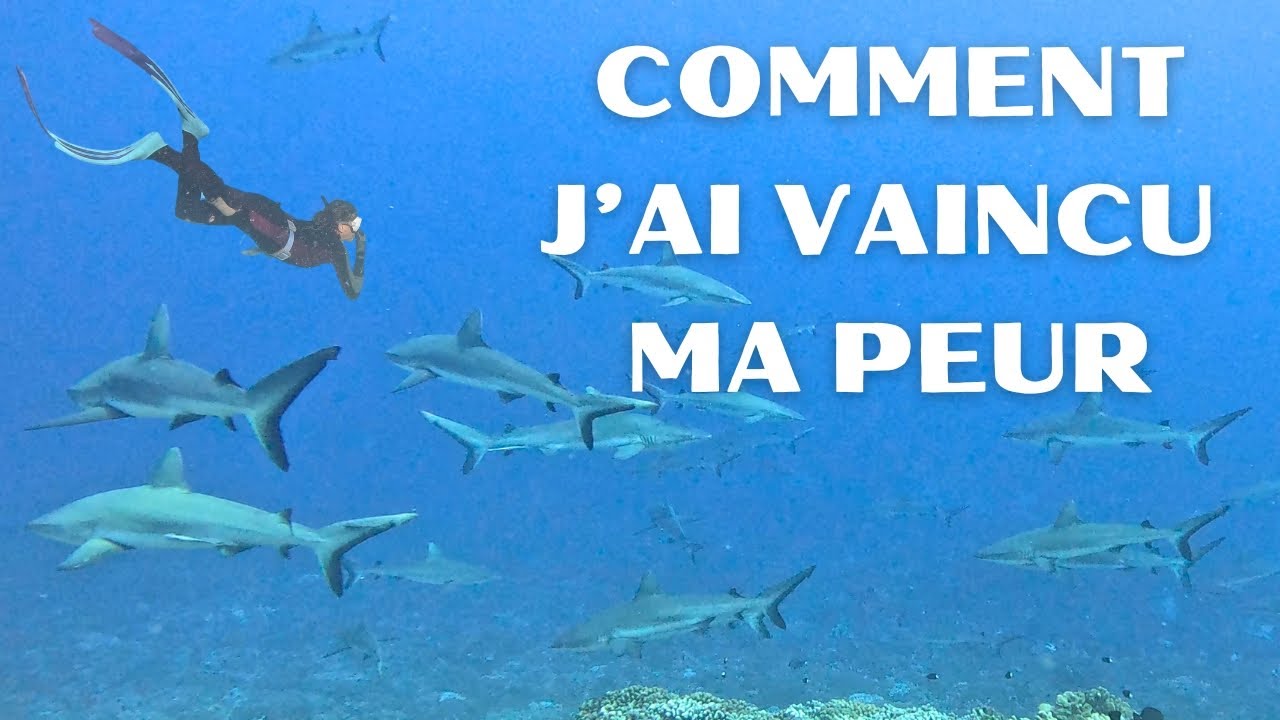 The most beautiful snorkeling and the incredible shark wall! Fakarava South Pass. Ep45