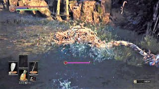 DARK SOULS III THE FIRE FADES EDITION　初見実況プレイPart22
