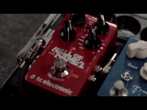 TC Electronic Hall of Fame 2 Reverb Pedal | Sweetwater