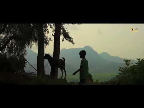 ብዘማሪት ሓፍትና ሕልፍቲ ፍረ ማ/ ቅ/ ፈተውቲ ዝኮነት ሓፍትና አዕፅምቲ ዘለመልም መዝሙር አብዝሓላ ሰላም እግዚአብሔር አምላክ ንዓድና ሰላሙ የብዝሓላ