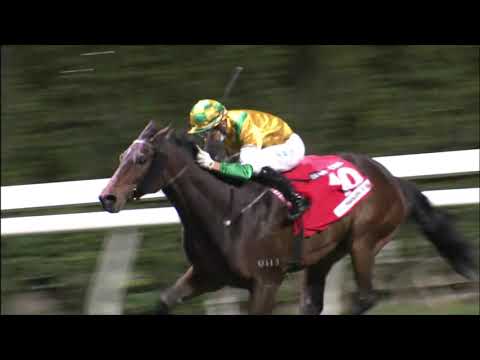 13/1/2021 (343) Smiling City - J Moreira