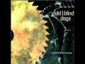 Old Blind Dogs -- Jean O' Bethelnie(Glenlogie ...