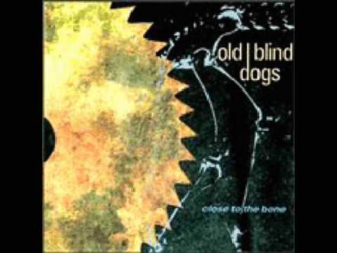 Old Blind Dogs -- Jean O' Bethelnie(Glenlogie)