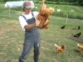 JD and his impacted chicken crop 
