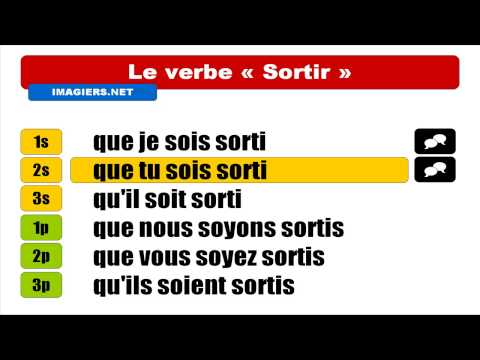 French verbs - Sortir - Subjonctif Passé