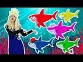 SHARK Finger Family Nursery Rhyme ANIMALSKETCH Daddy Finger Kids Song For Children Babies