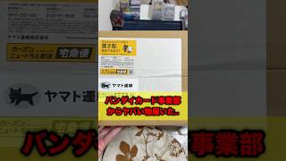 BANDAIカードゲーム事業部からとんでもない物が届きました.. #onepiece #ワンピースカード