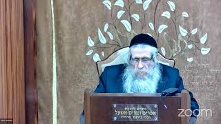 הרה"ג הרב וועכטר שליט"א ב' שבט תשפ"ד - לי/וטי שיחות חלק ג' שיחה י' שבט חלק ב (הרב אברהם מנחם מענדל וכטר) - התמונה מוצגת ישירות מתוך אתר האינטרנט יוטיוב. זכויות היוצרים בתמונה שייכות ליוצרה. קישור קרדיט למקור התוכן נמצא בתוך דף הסרטון