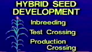 The Hybrid Corn Miracle, 1991