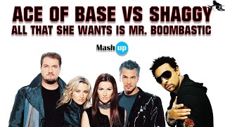 Ace of base Vs Shaggy - All that she wants is Mr.  Boombastic - Paolo Monti mashup 2023
