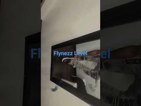 Flynezz Level | Planet Hollywood Episode | Before They Were Famouschronicles