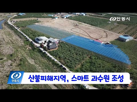 [안동 현장 리포트] 12월 15일, 산불피해지역 스마트 과수원 조성